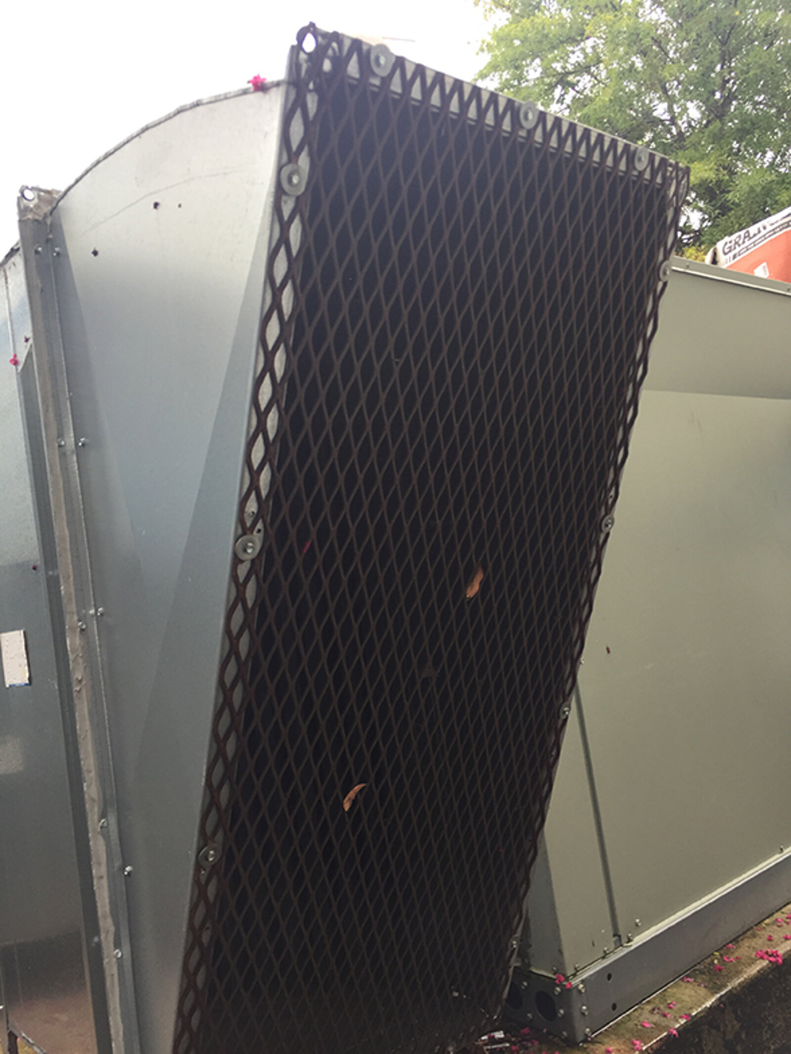 IMG_5953.jpg