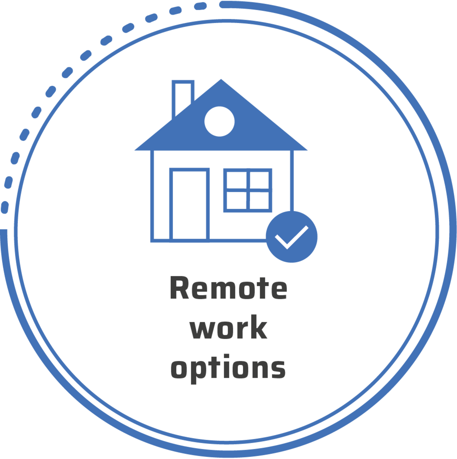 Remote_work_options.png